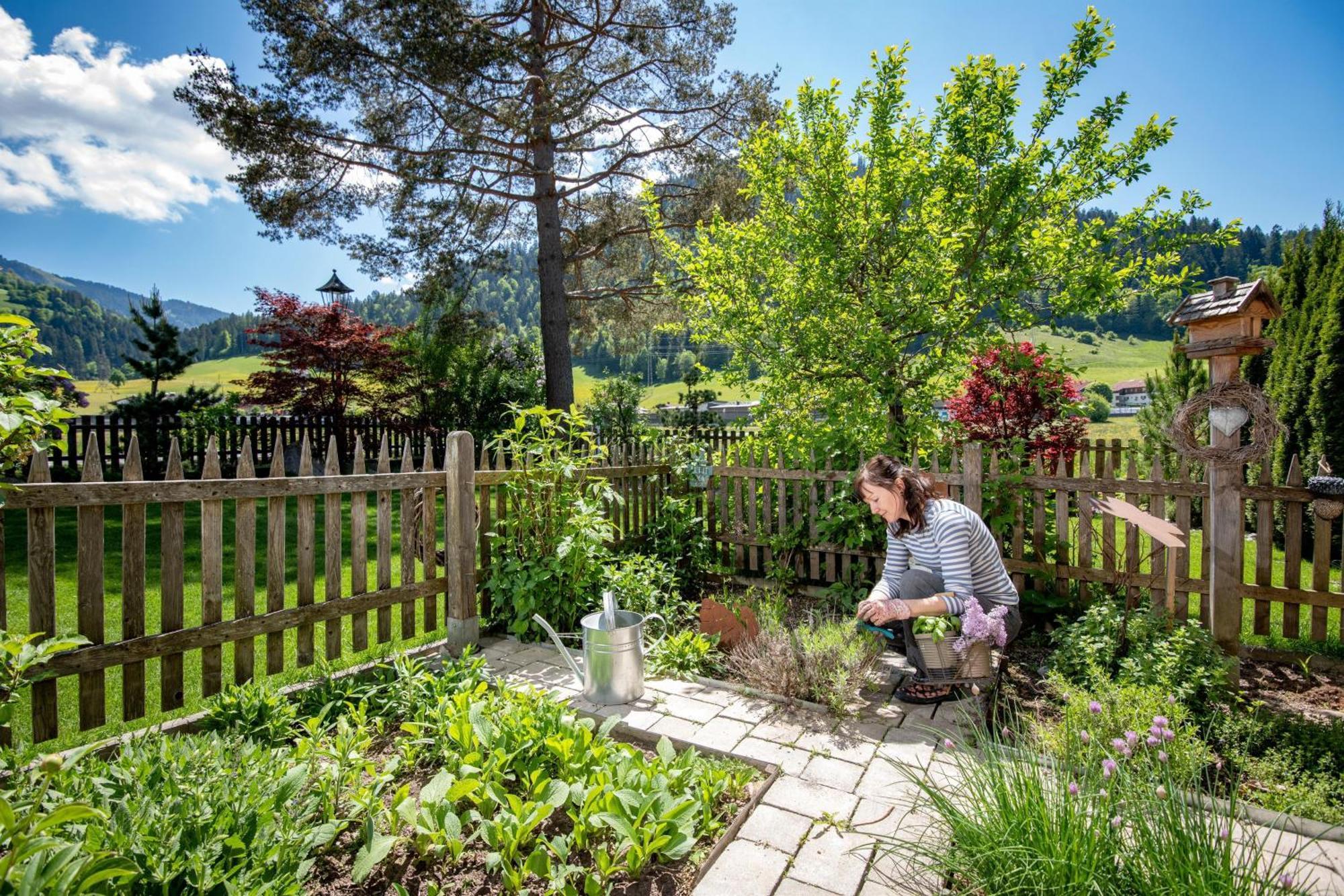Pension Edelweiss Soll Exterior photo
